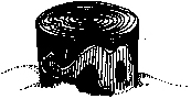 stump