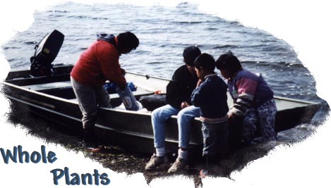Mary Willoya with her children Esther, Randall, and Leah having a snack at their boat on one of our berry picking excursions. Photo by Cheryl Payne
