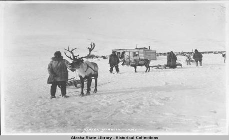 A Checkerboard Reservation