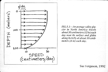 An average valley glacier in North America travels about 30 cm (12 in.) each day