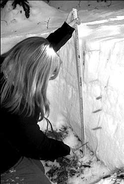 A McGrath student taking temperature measurements in a snow pit.