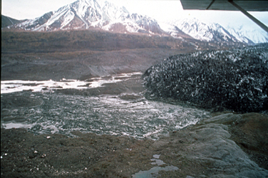 A close up of the Peter's Glacier terminus.