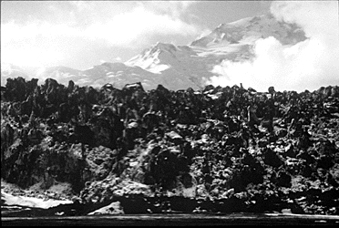 A close up of the Peter's Glacier terminus.