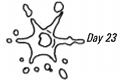 Day 23