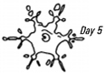 Day 5