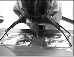 At the first station students learn to use a stereoscope