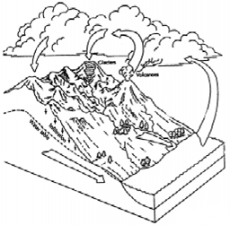 Water: The Stuff that Makes Snowflakes