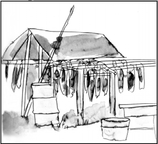 drying fish