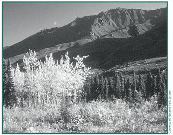 Courtesy of National Park Service