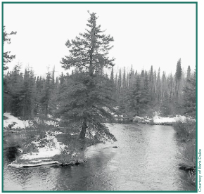 Fish Creek near Mentasta Lake.