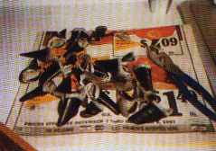 Take the hoof out of water