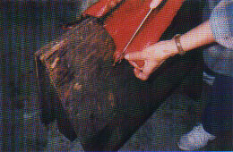 Lay the fish on the slicing board