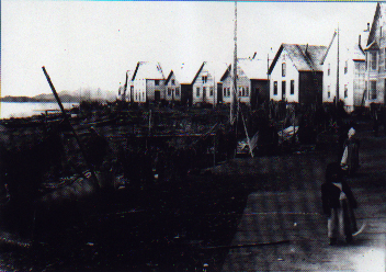 "Herring eggs drying long ago."