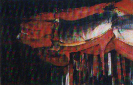 Add a little more smoke and heat 