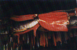 move fish on a rotating basis