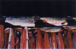 Hang in smokehouse overnight