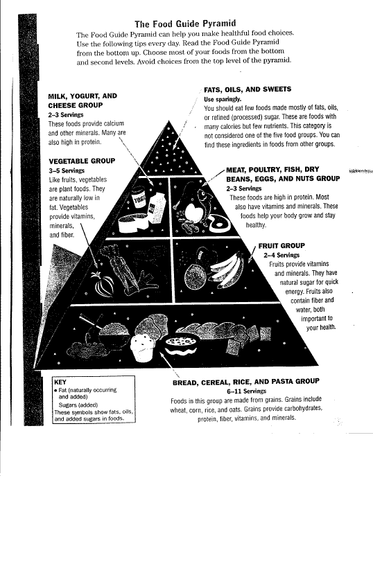 food pyramid
