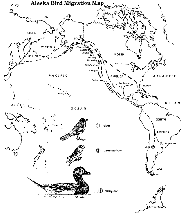 Alaska Bird Migration Map