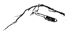 Cut off all the small root hairs with a pocket knife.