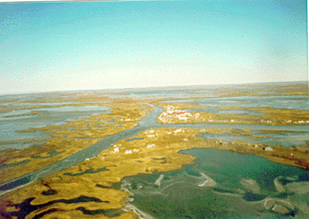 As you can see, from here, you could go in three directions.