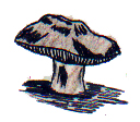 deer mushroom
