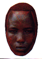 No Niggers In Our Town! 