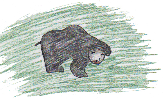 Sloth Bears 