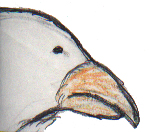 The Girl That Married An Eagle