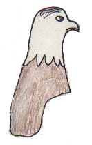 Eagle Story!!!