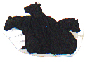 Black Bears