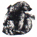 Hibernation and Denning Of Grizzly Bears 