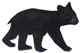 Austin and his friend the Bear Cub