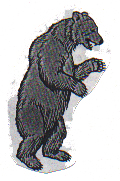 THE BIG BEAR 