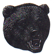 An Unexpected Bear Hunt 