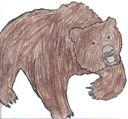 A BEAR'S GROWL 