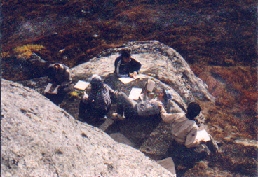 Students gathering information for "Edible and Useful Plants" project