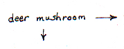 deer mushroom