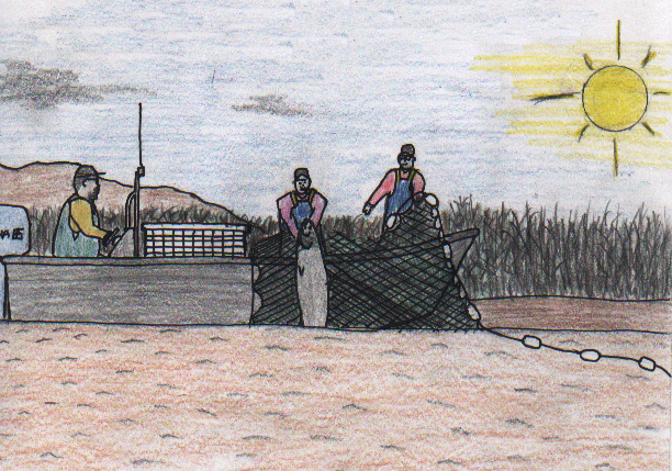 Biggest Fish in the World