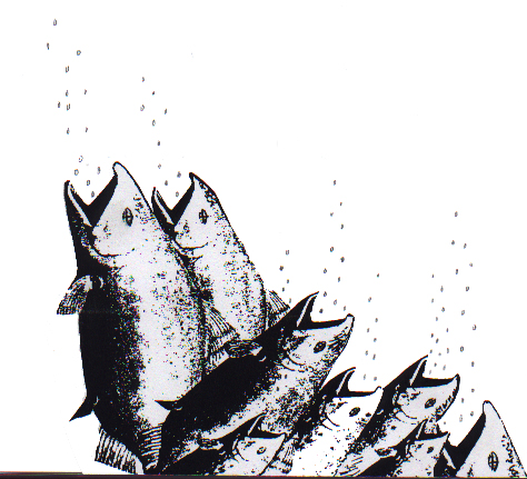 Global Warming and...