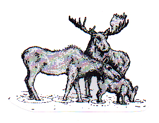 Happy Moose Hunting 1997