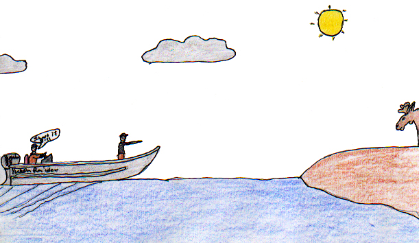 Two Moose In One Day