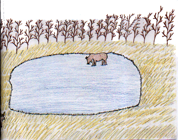 Everything Went Black