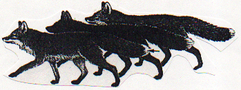 Sense of Where You Are 