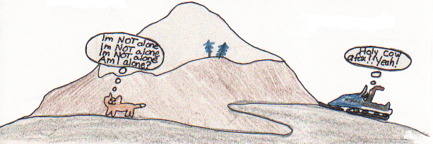 In The Life Of A Fox 