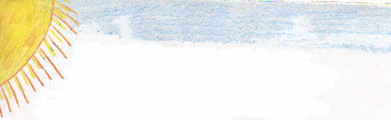 Killer Bees Attack Humans