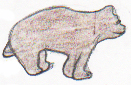 The Bear Skin 