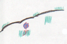 How The Raven Got Black