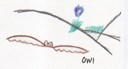 How The Raven Got Black