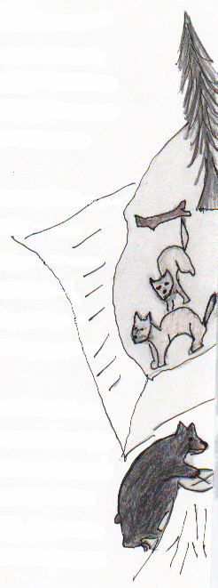 The Bear and the Two Weasles