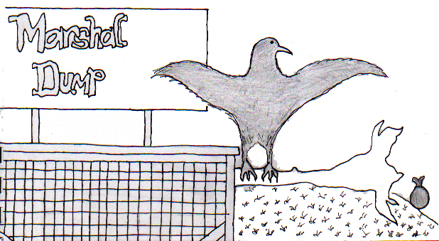 The Raven Danced for Scott 